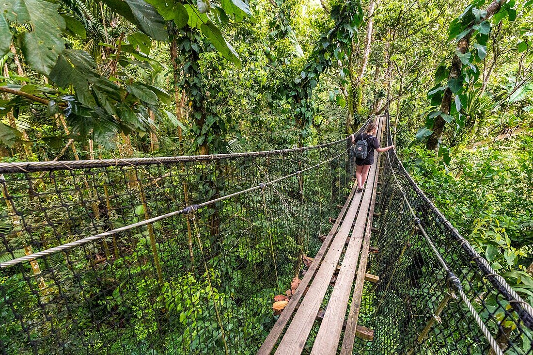 Frankreich, Karibik, Kleine Antillen, Guadeloupe, Basse-Terre, Bouillante, Parc des Mamelles (Zoo von Guadeloupe), Kronenwanderung