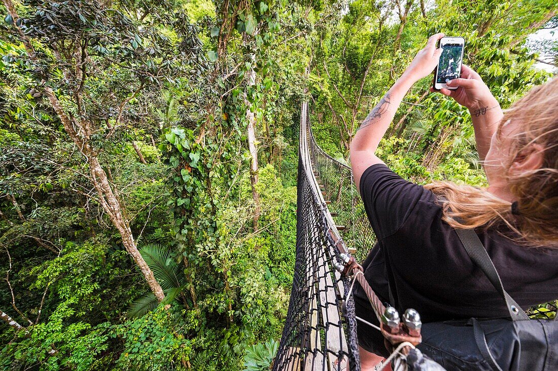 Frankreich, Karibik, Kleine Antillen, Guadeloupe, Basse-Terre, Bouillante, Parc des Mamelles (Zoo von Guadeloupe), Canopy-Trek