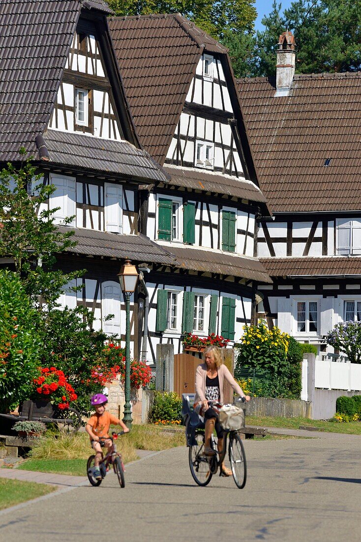 Frankreich, Bas Rhin, Seebach, traditionelle Fachwerkhäuser des Outre Foret (Nord-Elsass)