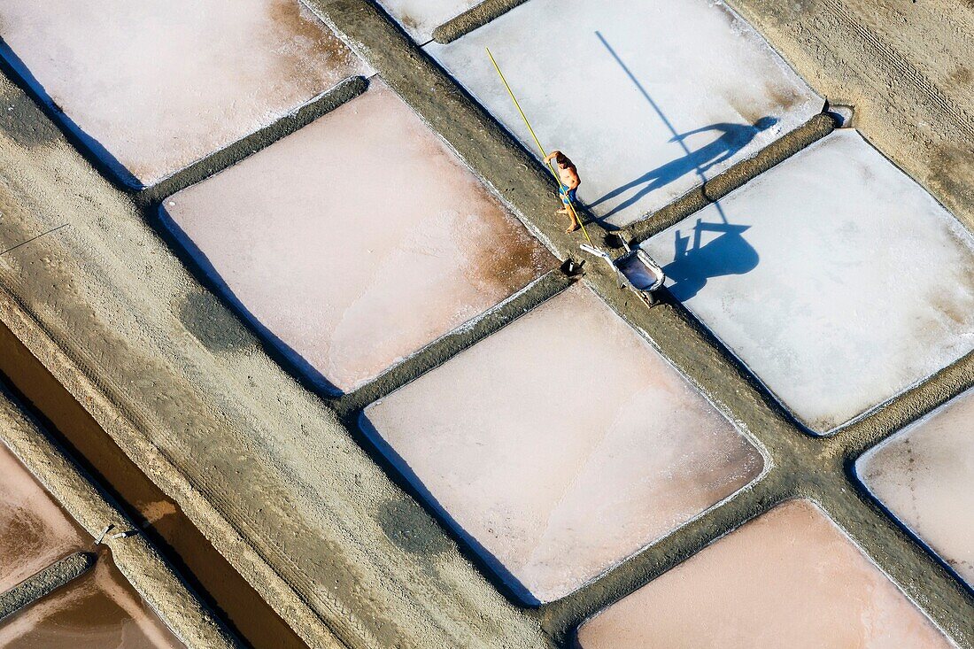 France, Charente Maritime, Ile de Re, Ars en Re, salt worker collecting the salt flower in the salt marshes (aerial view)\n