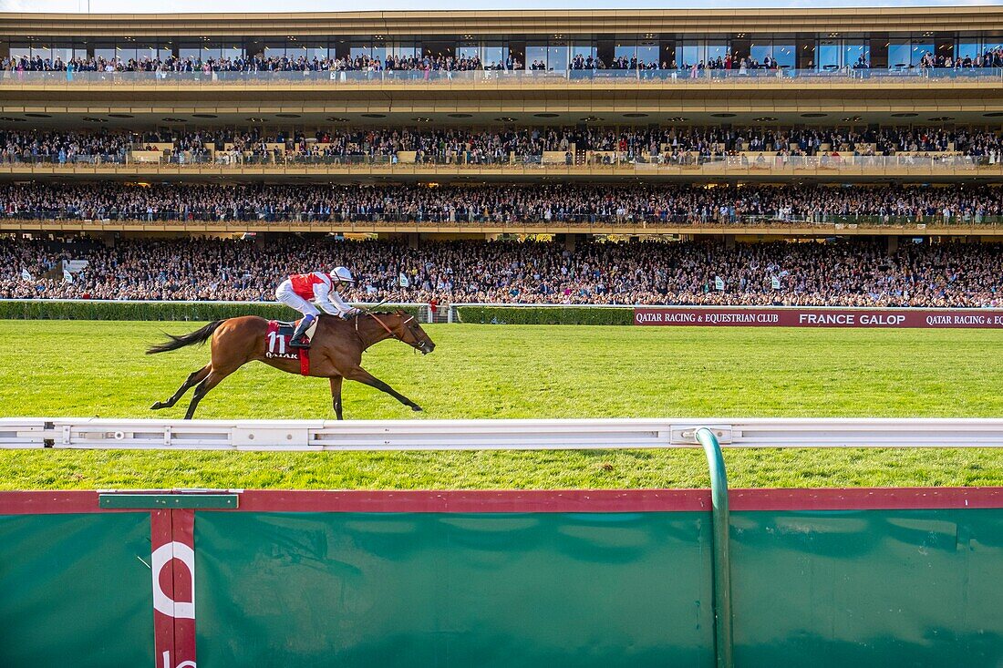 Frankreich, Paris, Longchamp Racecourse, der Preis des Triumphbogens von Katar