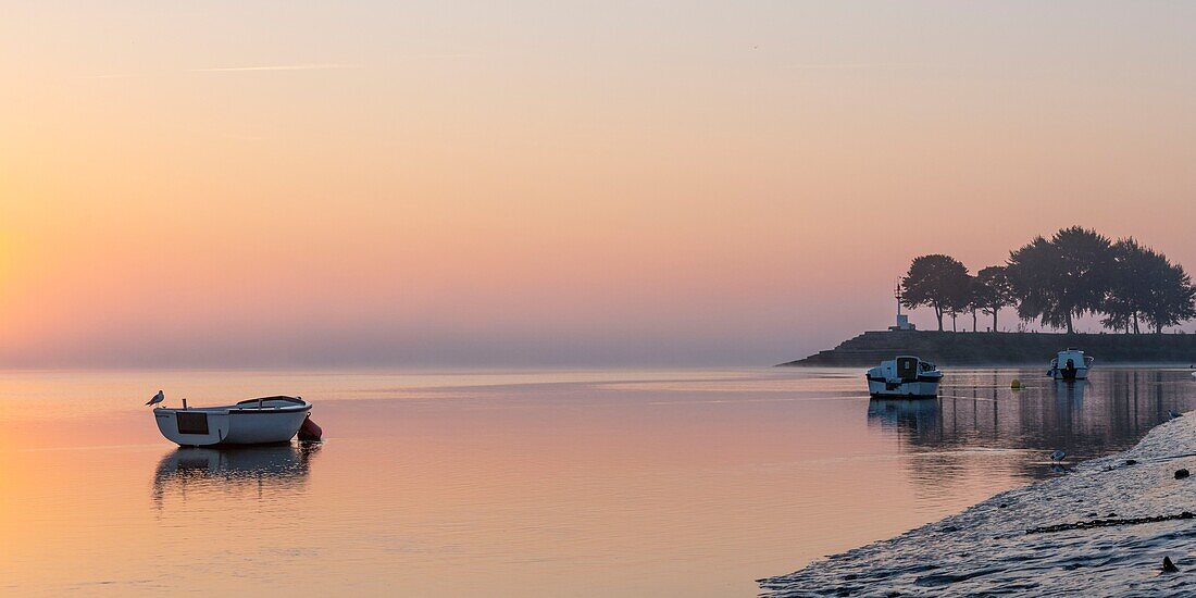 France, Somme, Somme Bay, Saint Valery sur Somme, Dawn on the banks of the Somme where are stranded the boats of fishermen and hunters\n