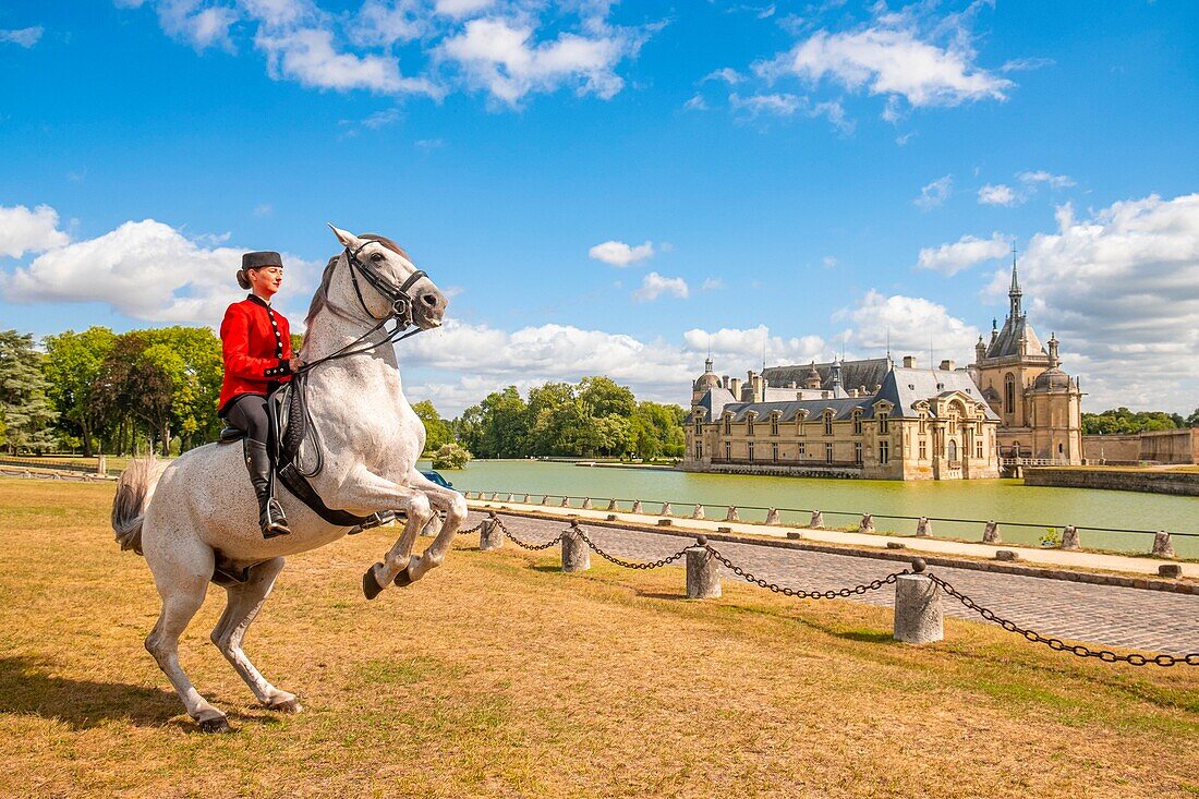 France, Oise, Chantilly, Chateau de Chantilly, the Grandes Ecuries (Great Stables), Estelle, rider of the Grandes Ecuries, makes up his horse in front of the castle\n