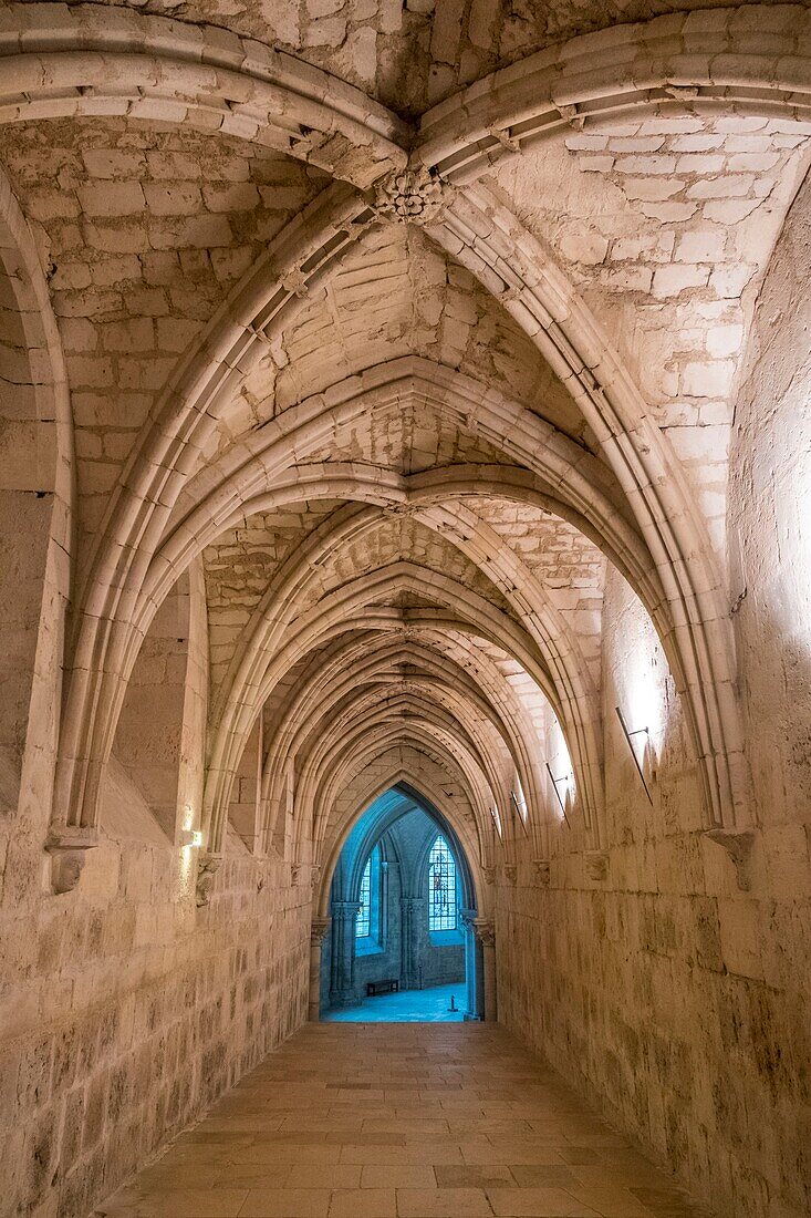Frankreich, Cher, Bourges, Kathedrale Saint Etienne, von der UNESCO zum Weltkulturerbe erklärt, nördliche Gewölbegalerie mit Zugang zur Krypta