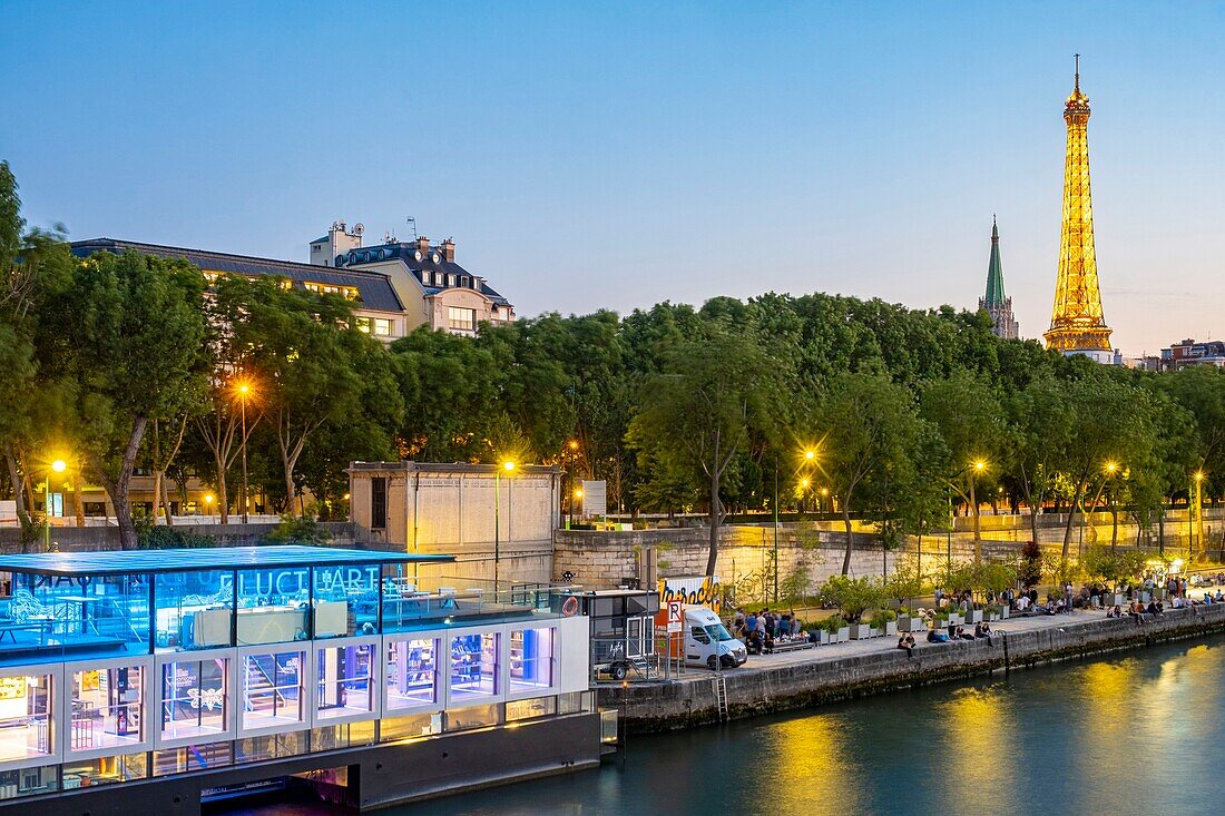 Frankreich, Paris, von der UNESCO zum Weltkulturerbe erklärtes Gebiet, Flugboot entlang der Ile de la Cite und des Eiffelturms