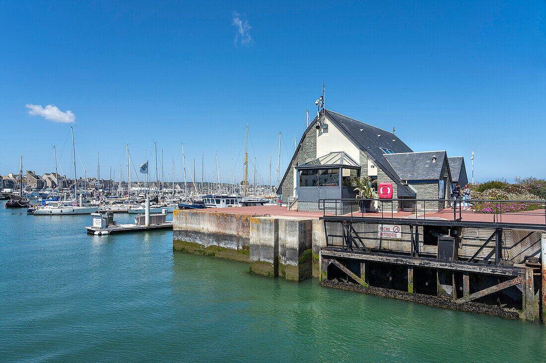 France, Manche, Saint-Vaast la Hougue, Port of Saint-Vaast-la-Hougue\n