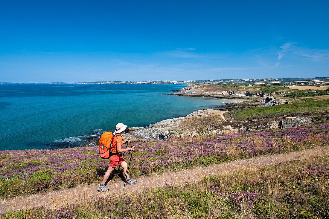 France, Finistere, Douarnenez Bay, Plomodiern, GR 34 hiking trail or customs trail\n