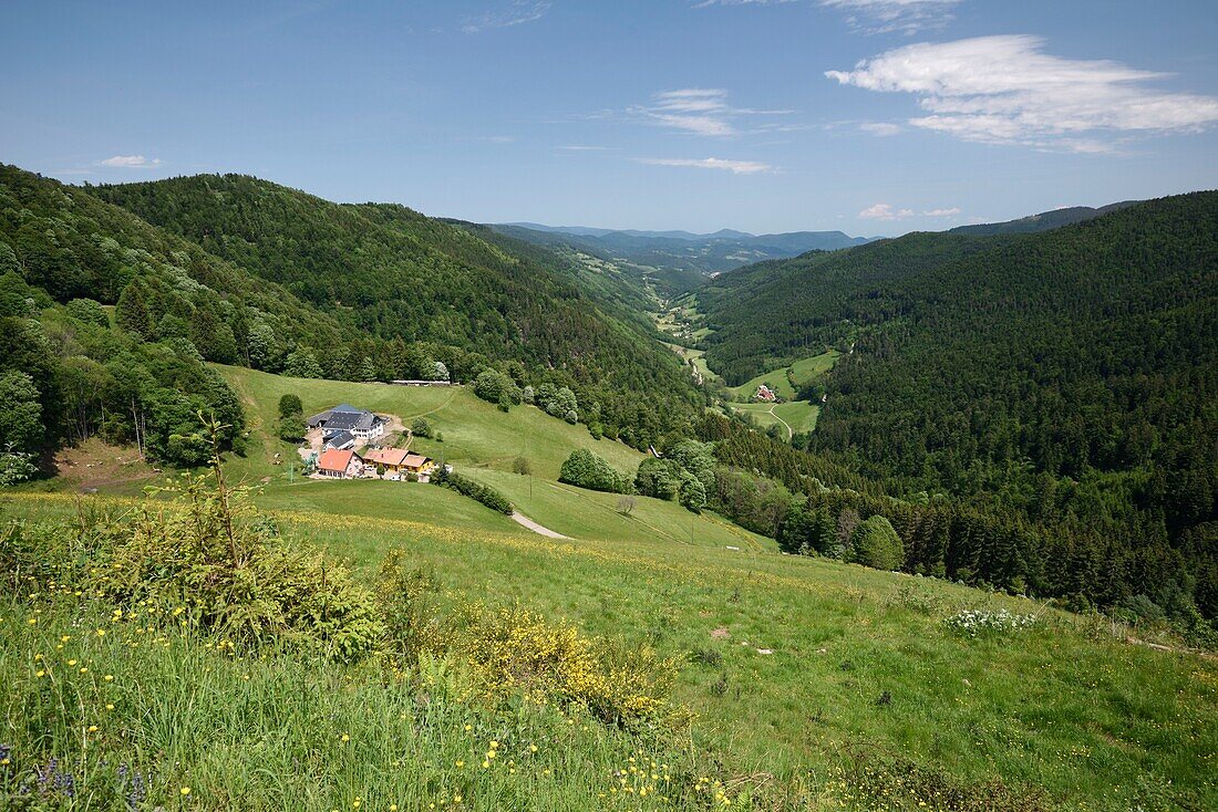 Frankreich, Haut Rhin, Le Bonhomme, Col des Bagenelles, Bauernhaus La Graine Johe, Blick auf das Tal von Sainte Marie aux Mines, Echery