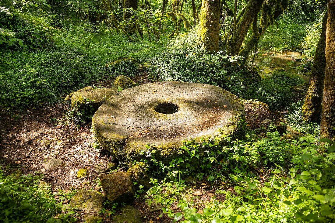 France, Puy de Dome, Egliseneuve pres Billom, Natural regional park of Livradois Forez, Madet valley, old mill\n