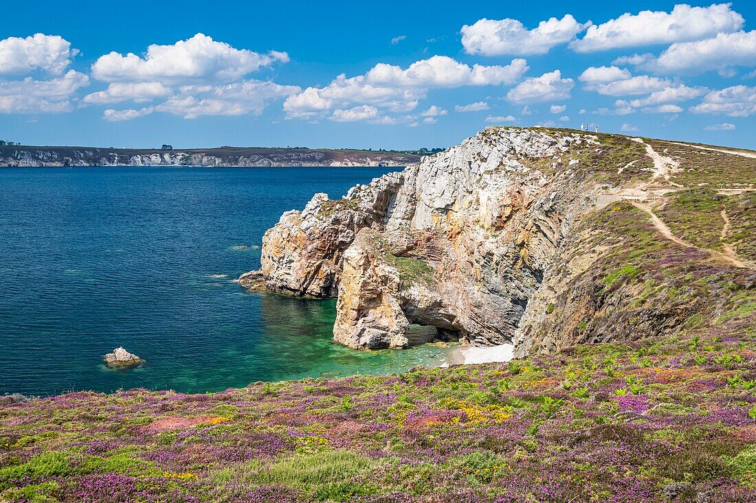 France, Finistere, Armorica Regional Natural Park, Crozon Peninsula, Crozon, Pointe de Dinan\n