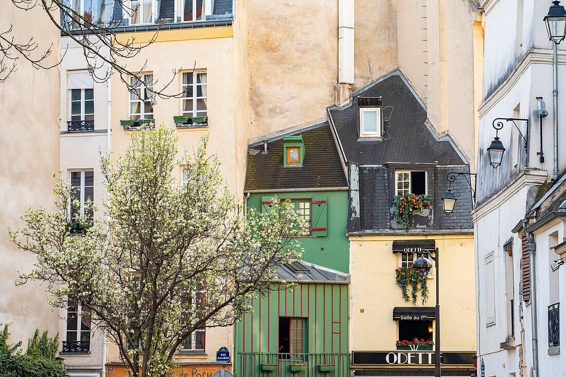 France, Paris, Saint Michel district, old houses Rue Galande\n