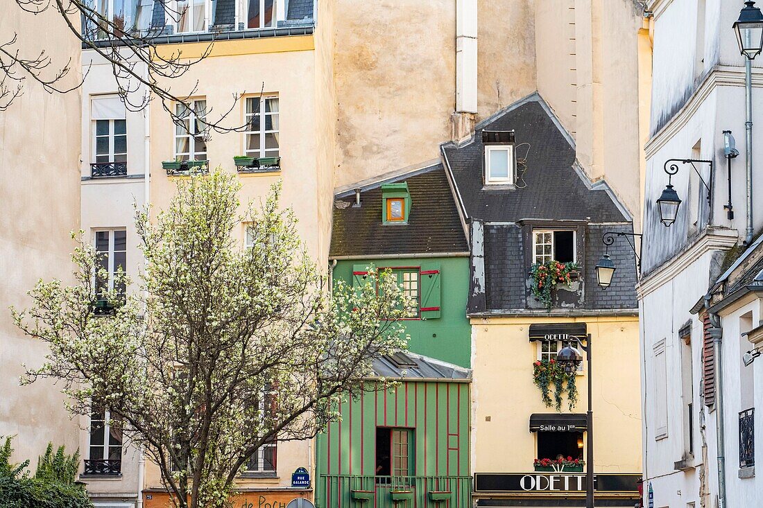 Frankreich, Paris, Viertel Saint Michel, alte Häuser in der Rue Galande