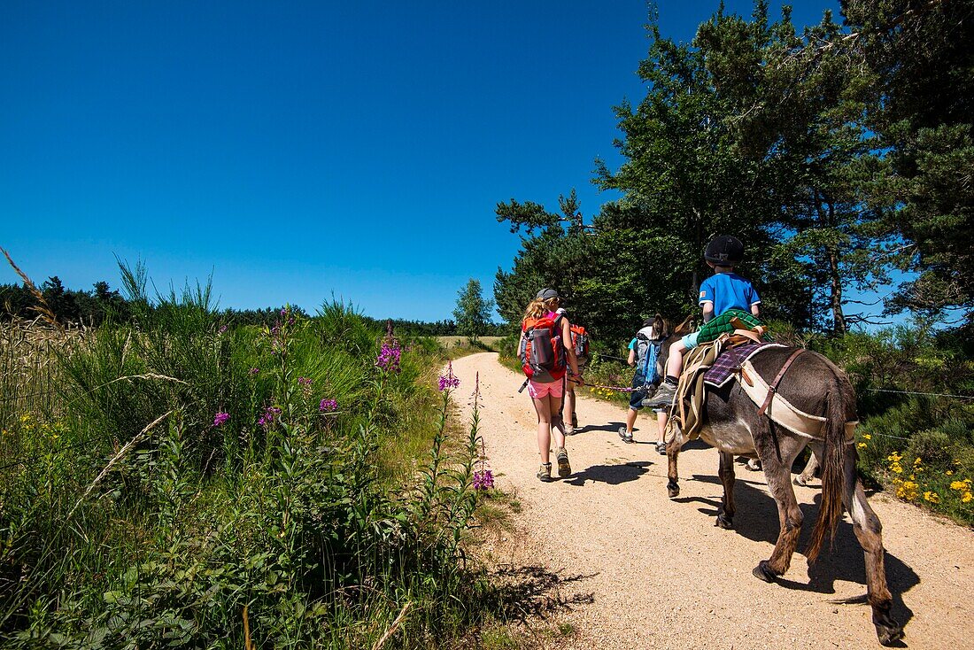 France, Lozere, Langogne, Stevenson trail, GR 70\n