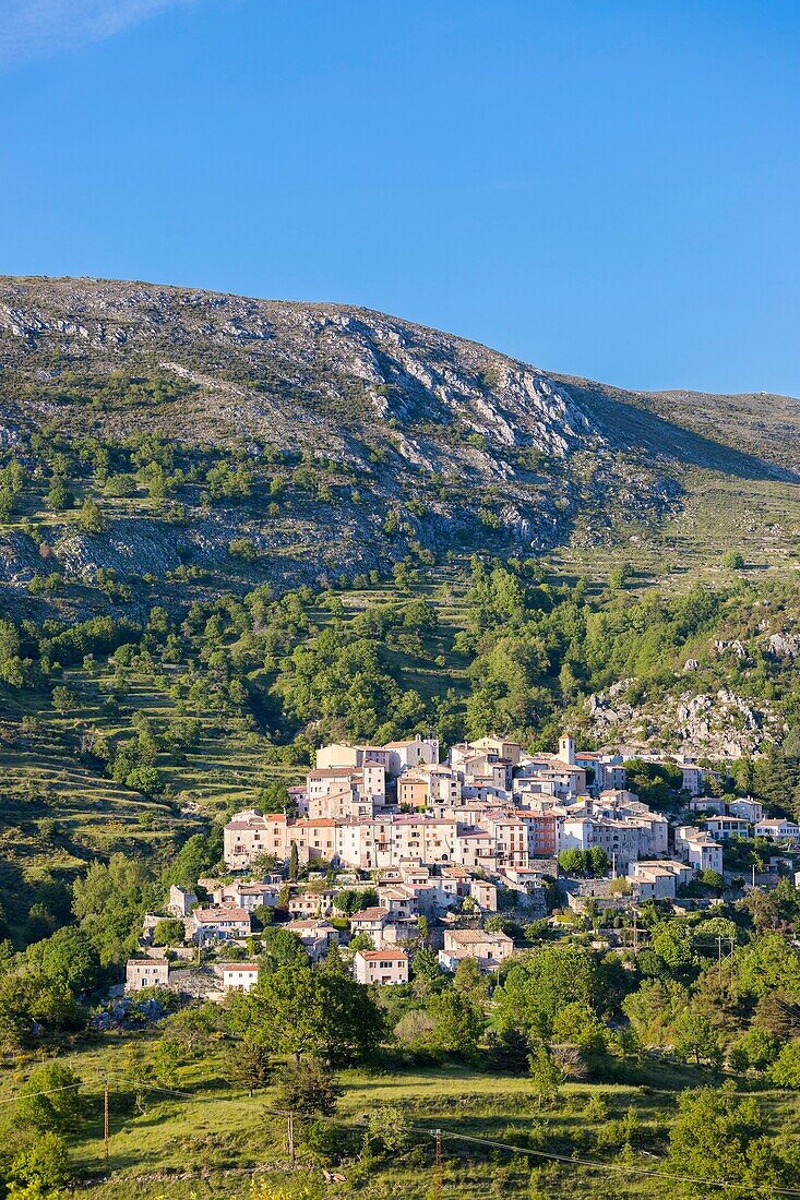 Frankreich, Alpes Maritimes, Parc Naturel Regional des Prealpes d'Azur, Cheiron monuntain, Coursegoules