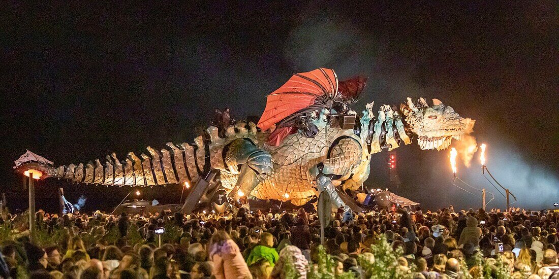 France, Pas de Calais, Cote d'Opale, Calais, Calais dragon designed by François Delarozière and la Machine company, festivities related to the arrival of the dragon in Calais\n