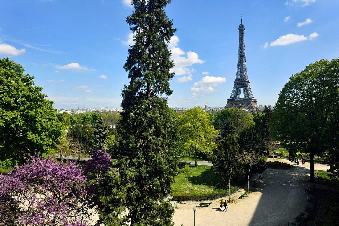 France, Paris, area listed as World Heritage by UNESCO, Trocadero gardens and the Eiffel Tower\n