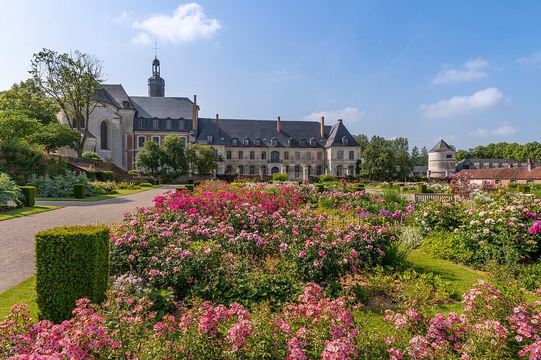Frankreich, Somme, Tal der Authie, Argoules, die Gärten von Valloires sind botanische und landschaftliche Gärten auf dem Gelände der alten Zisterzienserabtei von Valloires auf einer Fläche von 8 Hektar und beschriftet bemerkenswerten Garten