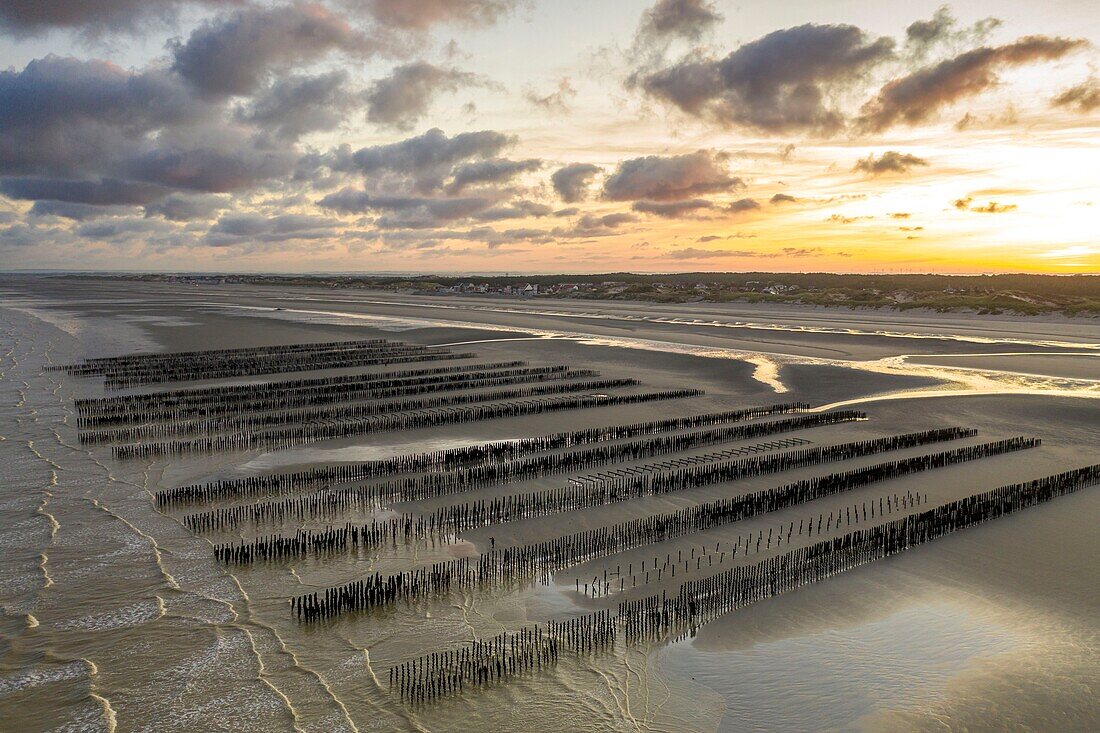 France, Somme, Marquenterre, Quend-Plage, the beach at Quend-Plage, with Fort-Mahon and the Authie Bay on one side, and the Bay of Somme and the bouchot mussel farms on the other (aerial view) (aerial view)\n