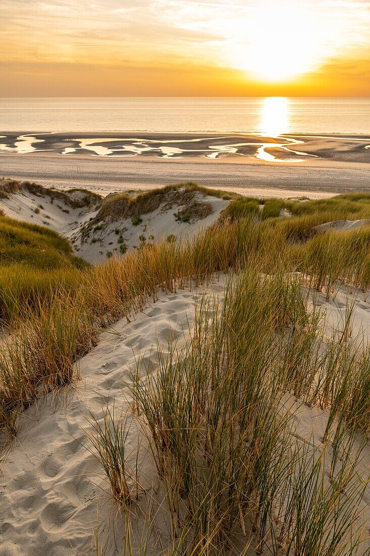 Frankreich, Somme, Fort-Mahon, Die Dünen zwischen Fort-Mahon und der Bucht von Authie bei Sonnenuntergang