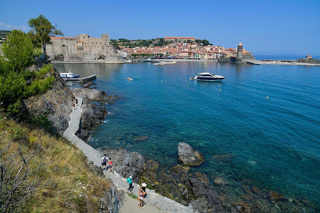 France, Pyrenees Orientales, Collioure, beach of La Balette, walkers on a path around the sea\n