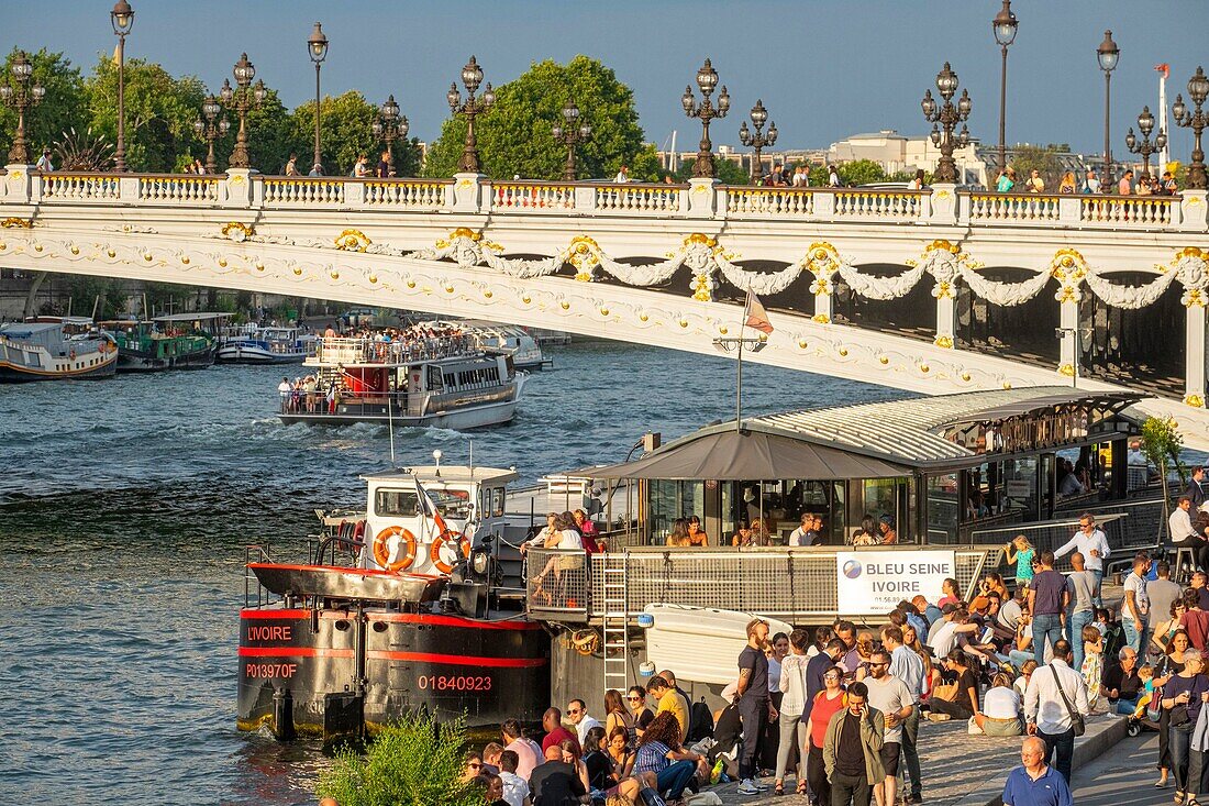 Frankreich, Paris, von der UNESCO zum Weltkulturerbe erklärtes Gebiet, der Park Rives de Seine an der Brücke Alexandre III