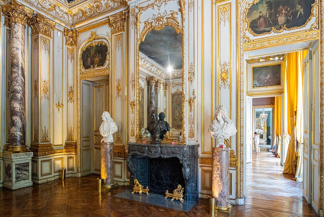 France, Paris, the Jacquemart Andre museum, the Grand Salon\n
