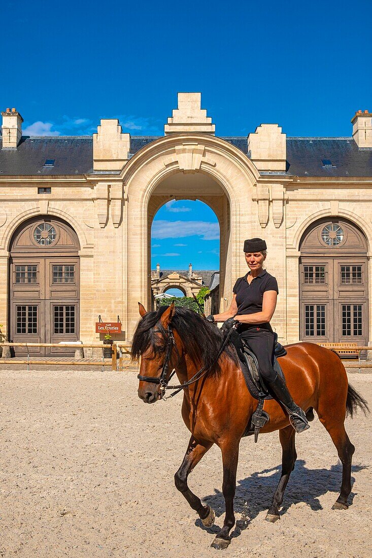 Frankreich, Oise, Chantilly, Schloss Chantilly, Sophie Bienaimé, Reiterin und künstlerische Leiterin der Großen Ställe entspannt ihr Pferd vor der Show im Karussell