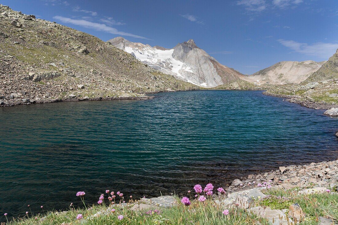 France, Hautes Pyrenees, Cauterets, Gentianes lake and Vignemale peak 3298 m\n