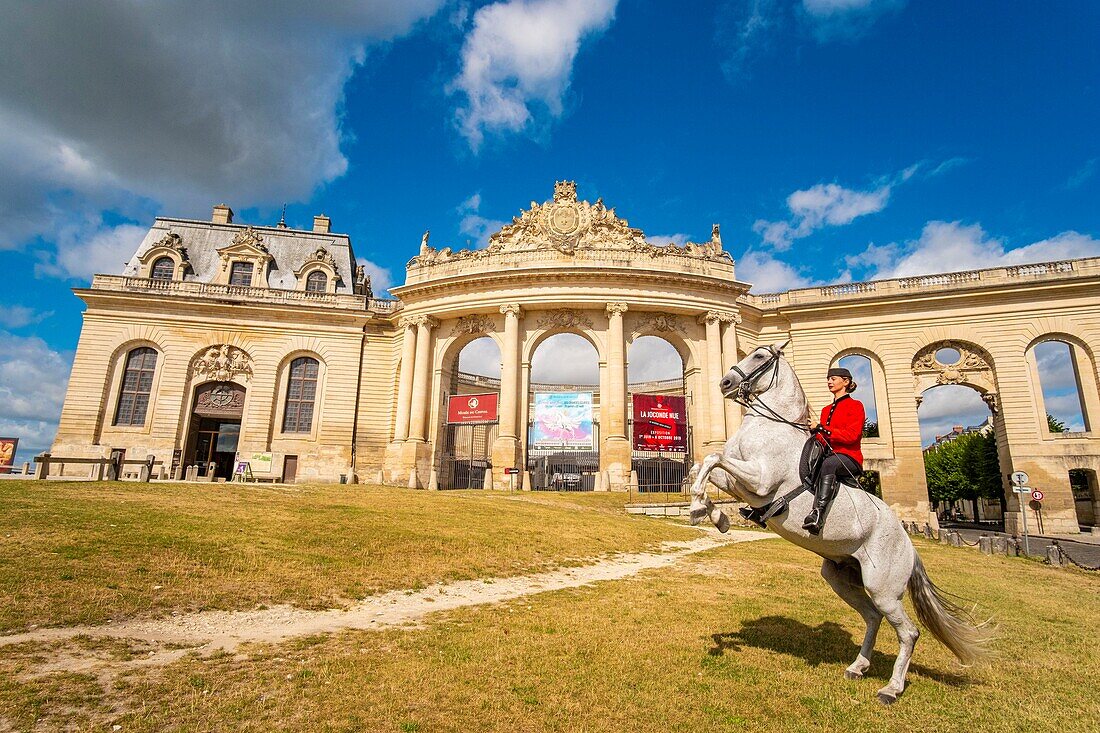 Frankreich, Oise, Chantilly, Chateau de Chantilly, die Grandes Ecuries (Große Ställe), Estelle, Reiterin der Grandes Ecuries, lässt ihr Pferd vor den Grandes Ecuries (Große Ställe) zurückweichen