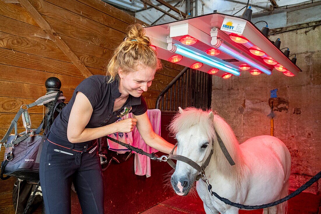 France, Oise, Chantilly, Chantilly Castle, the Great Stables, drying ponies infra-red after the toilet\n