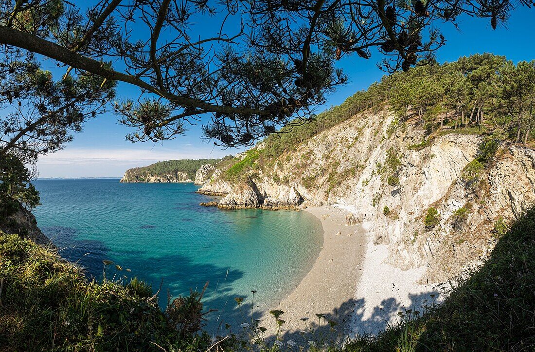 France, Finistere, Armorica Regional Natural Park, Crozon Peninsula, Saint Hernot, creek of Vierge island\n