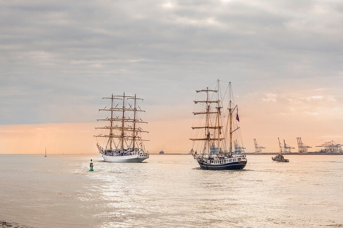 France, Calvados, Honfleur, Armada 2019, Grande Parade, Dar Mlodziezy and Thalassa sailing away from the Seine Estuary in the setting sun, with Le Havre Harbour in the background\n