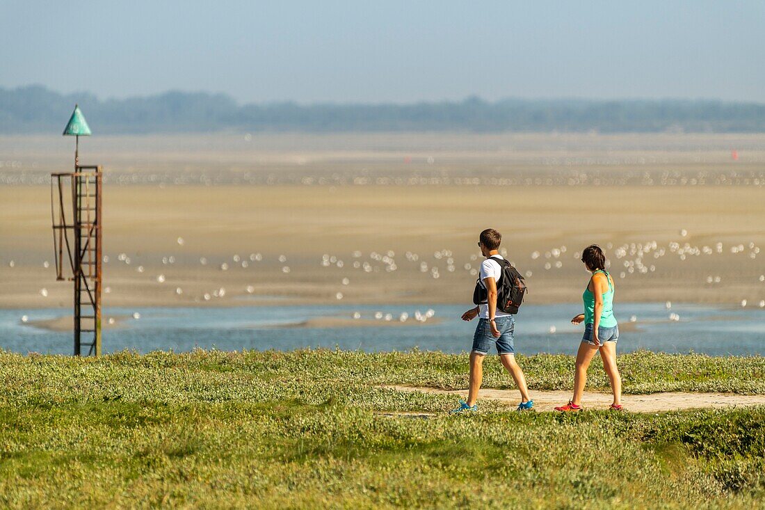 Frankreich, Somme, Somme-Bucht, Saint-Valery-sur-Somme, Kap Hornu, Spaziergänger auf den gesalzenen Wiesen am Kanal der Somme