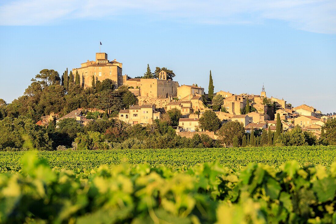 France, Vaucluse, regional natural reserve of Luberon, Ansouis, certified the Most beautiful Villages of France the 17th century castle and the St Martin church\n