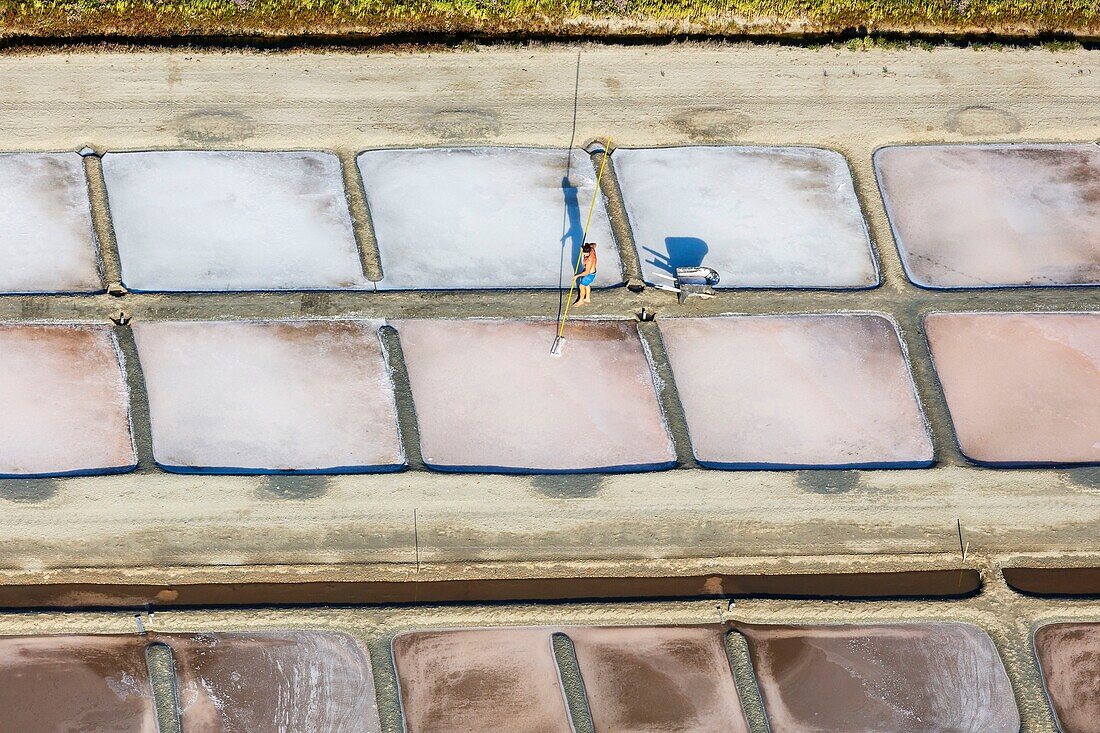 France, Charente Maritime, Ile de Re, Ars en Re, salt worker collecting the salt flower in the salt marshes (aerial view)\n