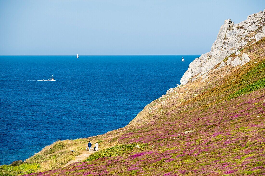 France, Finistere, Armorica Regional Natural Park, Crozon Peninsula, Pointe de Dinan\n