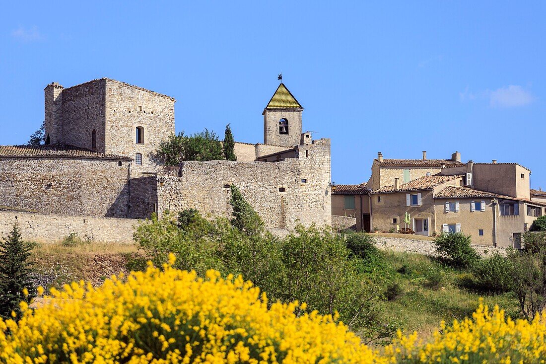 France, Vaucluse, Aurel, Ste Aurele church\n