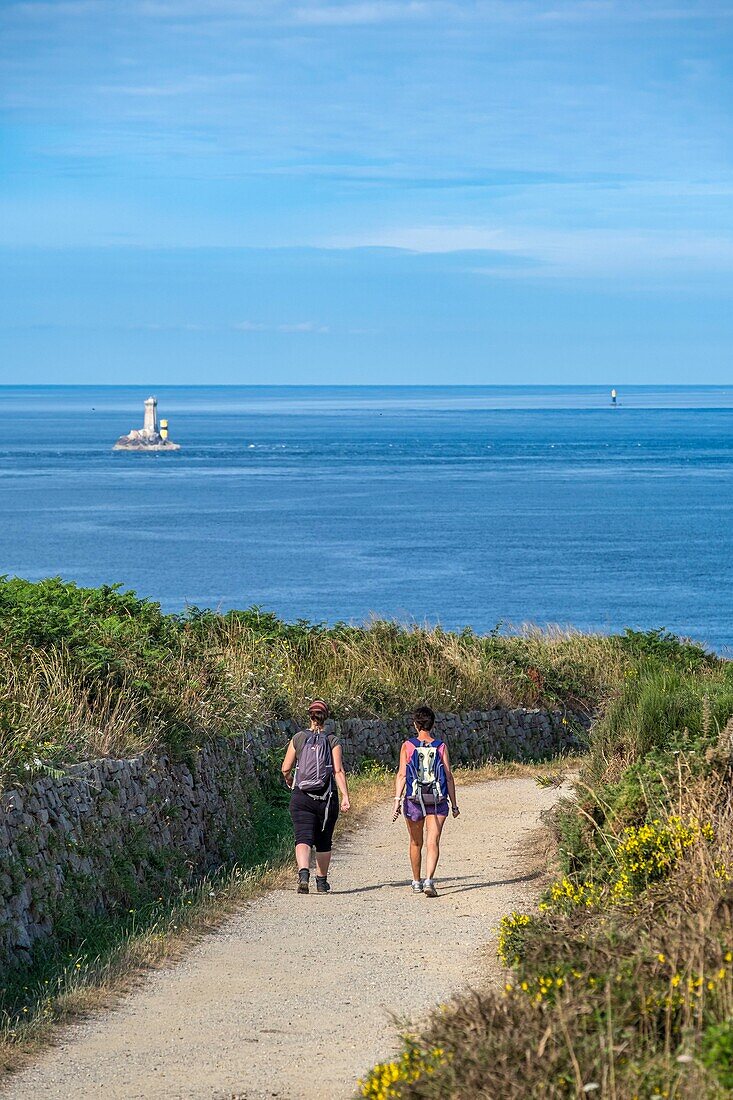 France, Finistere, Cleden-Cap-Sizun, Pointe du Van, La Vieille lighthouse in the background\n