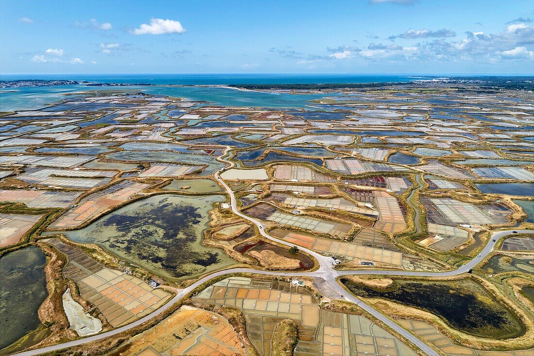 France, Loire Atlantique, Guerande, salt marshes (aerial view)\n