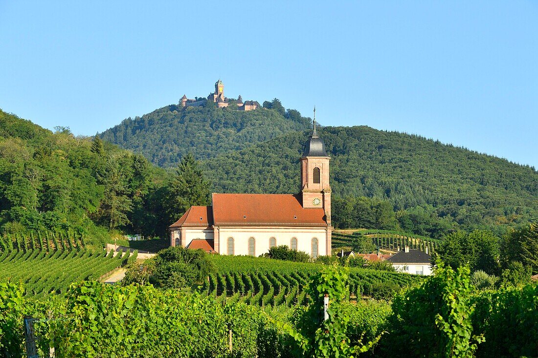 France, Haut Rhin, Alsace Wine Road, St HIppolyte church and Haut Koenigsbourg castle\n