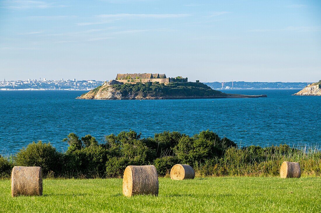 France, Finistere, Armorica Regional Natural Park, Crozon Peninsula, Bay of Brest, Ile des Morts\n