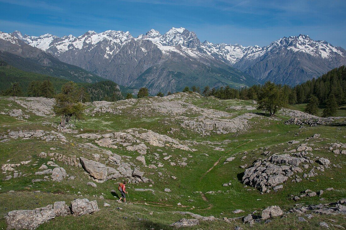 Frankreich, Hautes Alpes, Oisans-Massiv, Nationalpark Ecrins, Vallouise, Wanderung zur Pointe des Tetes, dem Gipfelplateau und den Gipfeln des Pelvoux