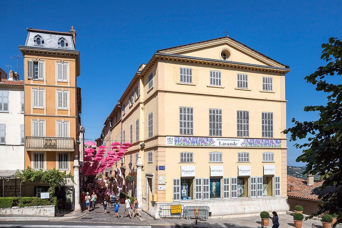 France, Alpes-Maritimes, Grasse, historic center, pink umbrellas in Jean Ossola street\n