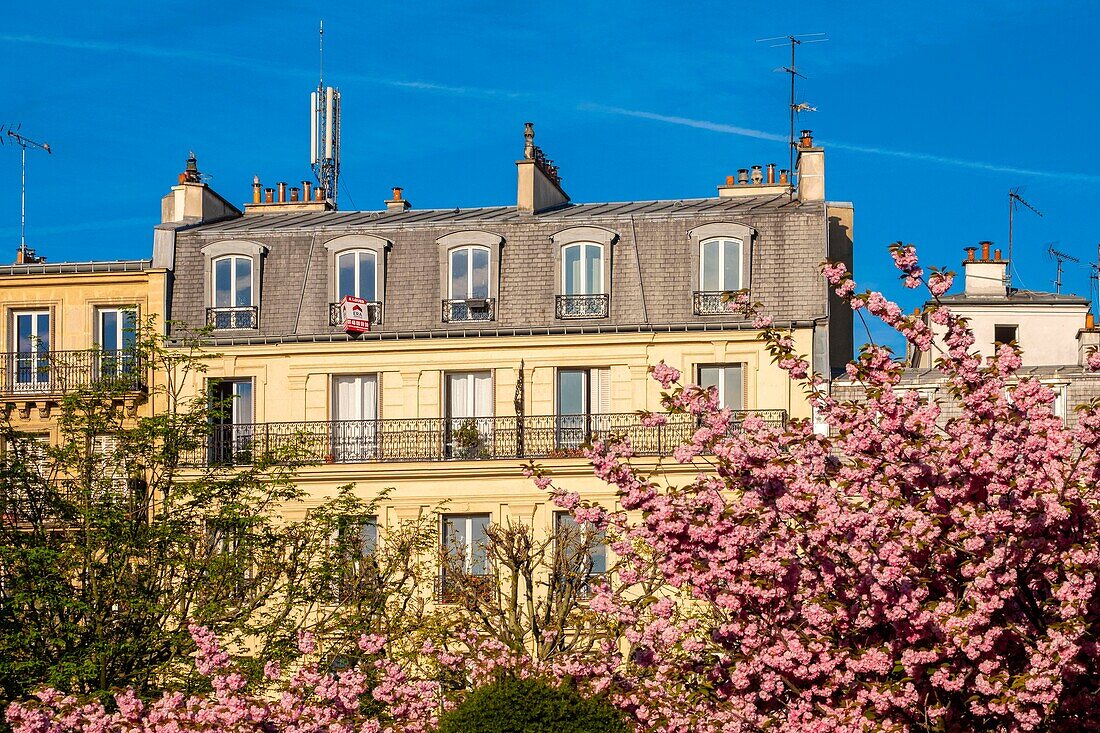 France, Val de Marne, Saint Mande in the spring\n