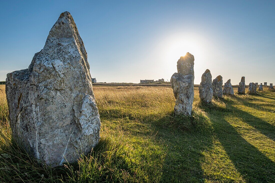 France, Finistere, Armorica Regional Natural Park, Crozon Peninsula, Camaret-sur-Mer, Lagatjar Alignment or Toulinguet megalithic alignment\n