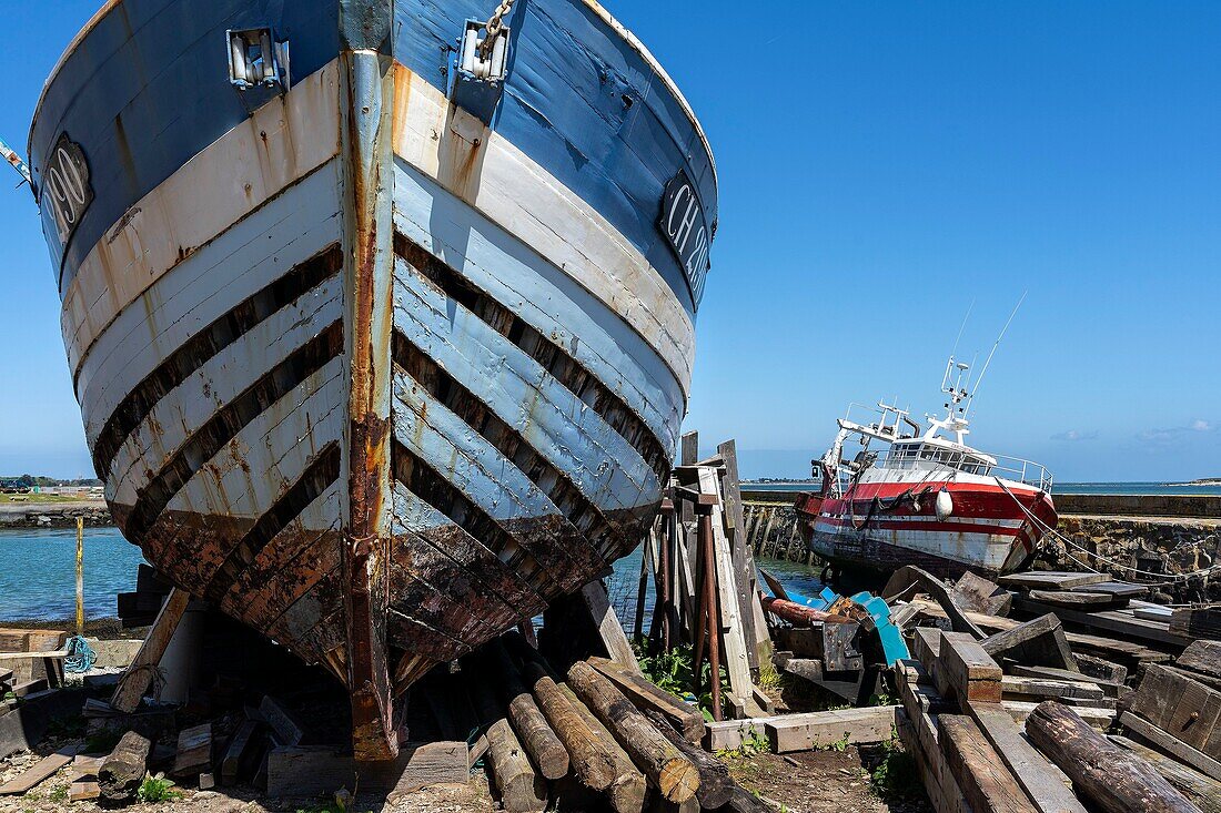 France, Manche, Saint-Vaast la Hougue, Port of Saint-Vaast-la-Hougue, shipyard\n