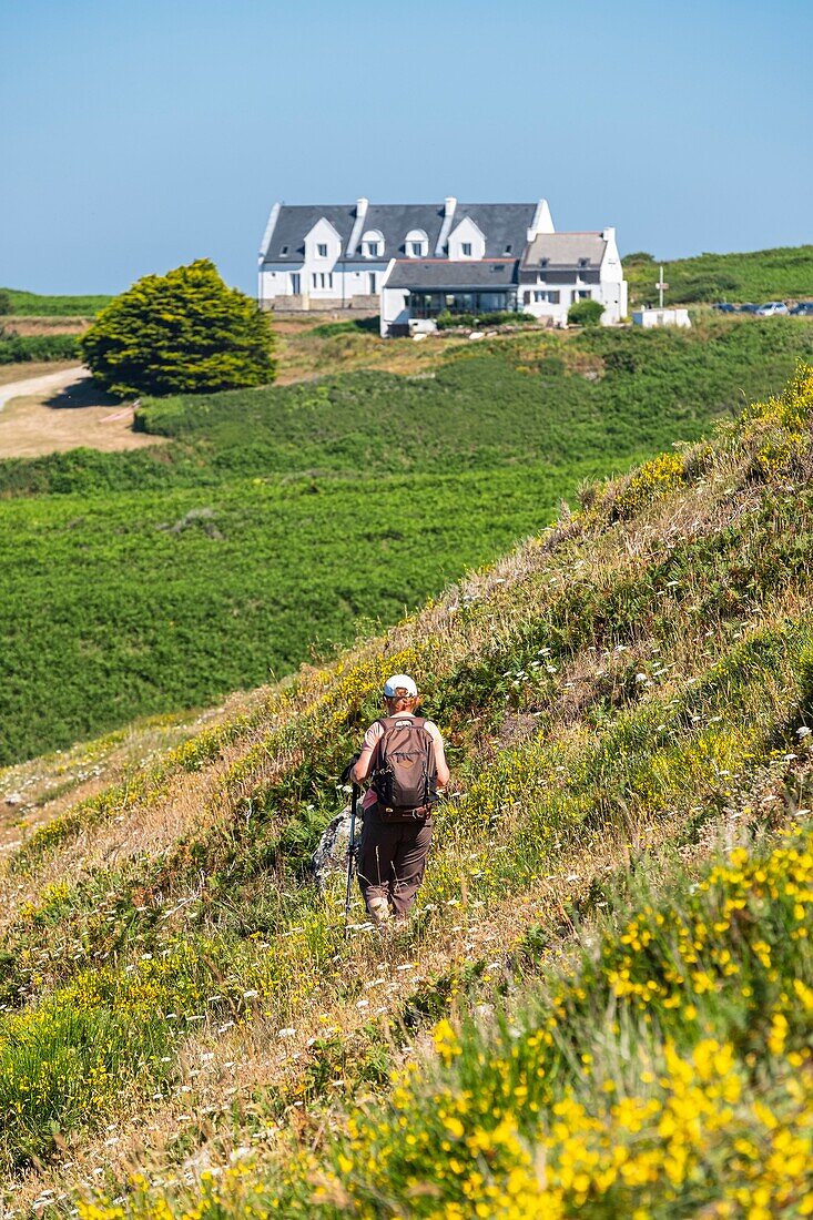 Frankreich, Finistere, Plogoff, der Wanderweg GR 34 zur Pointe du Raz