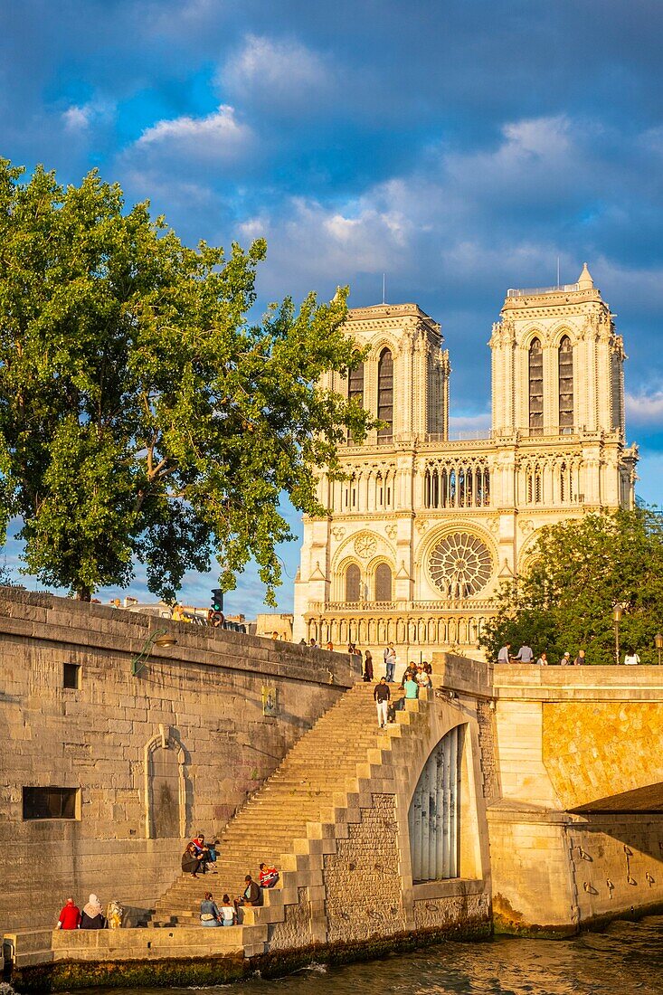 Frankreich, Paris, Weltkulturerbe der UNESCO, Ile de la Cite, Kathedrale Notre Dame