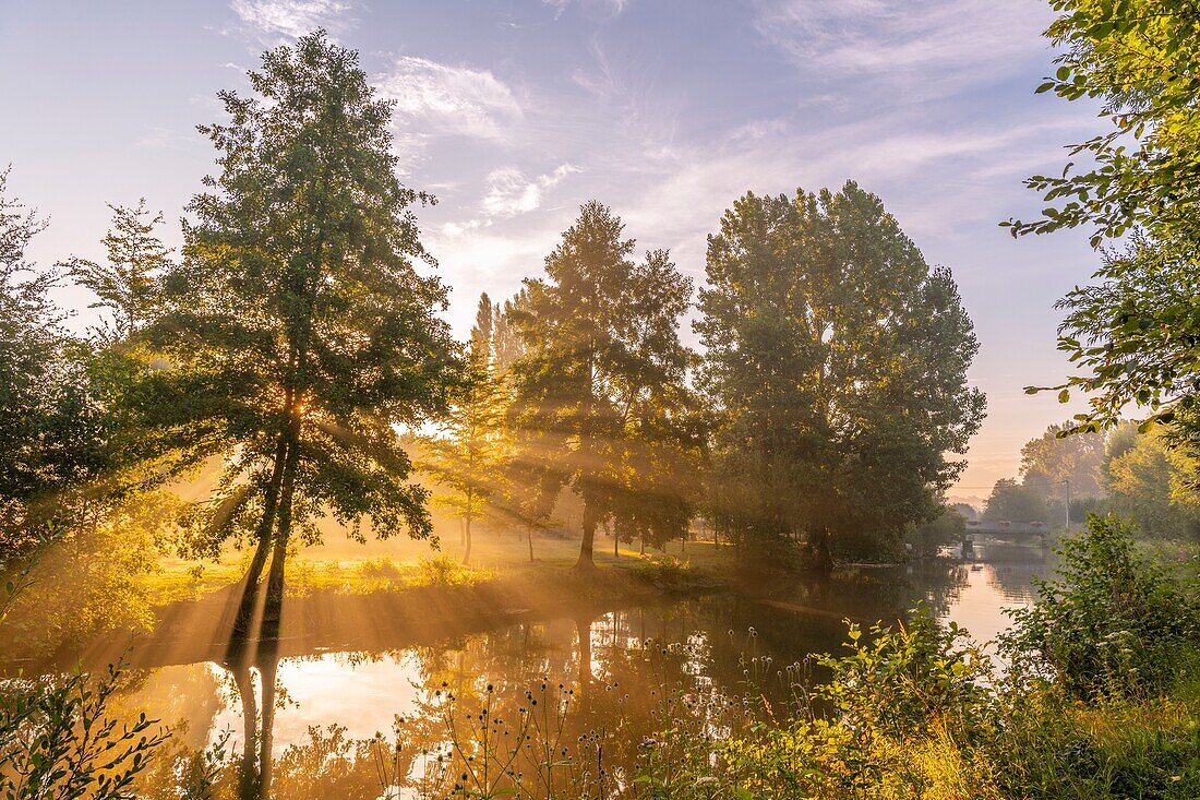 France, Somme, Valley of the Somme, Long, the banks of the Somme in the early morning, along the river\n