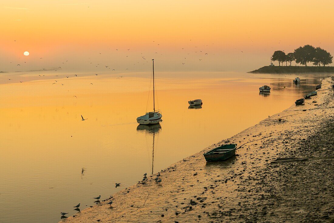 France, Somme, Somme Bay, Saint Valery sur Somme, Dawn on the banks of the Somme where are stranded the boats of fishermen and hunters\n